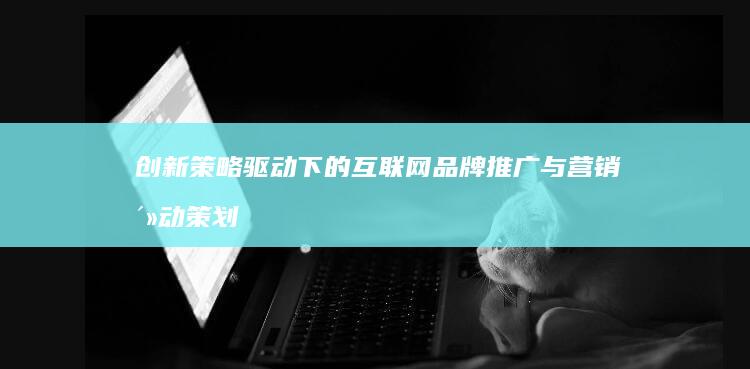 创新策略驱动下的互联网品牌推广与营销活动策划